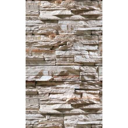 Фиброцементная плита Фаспан Дикий камень №1007 Вертикаль (1200х800х8 мм) купить в Барановичах