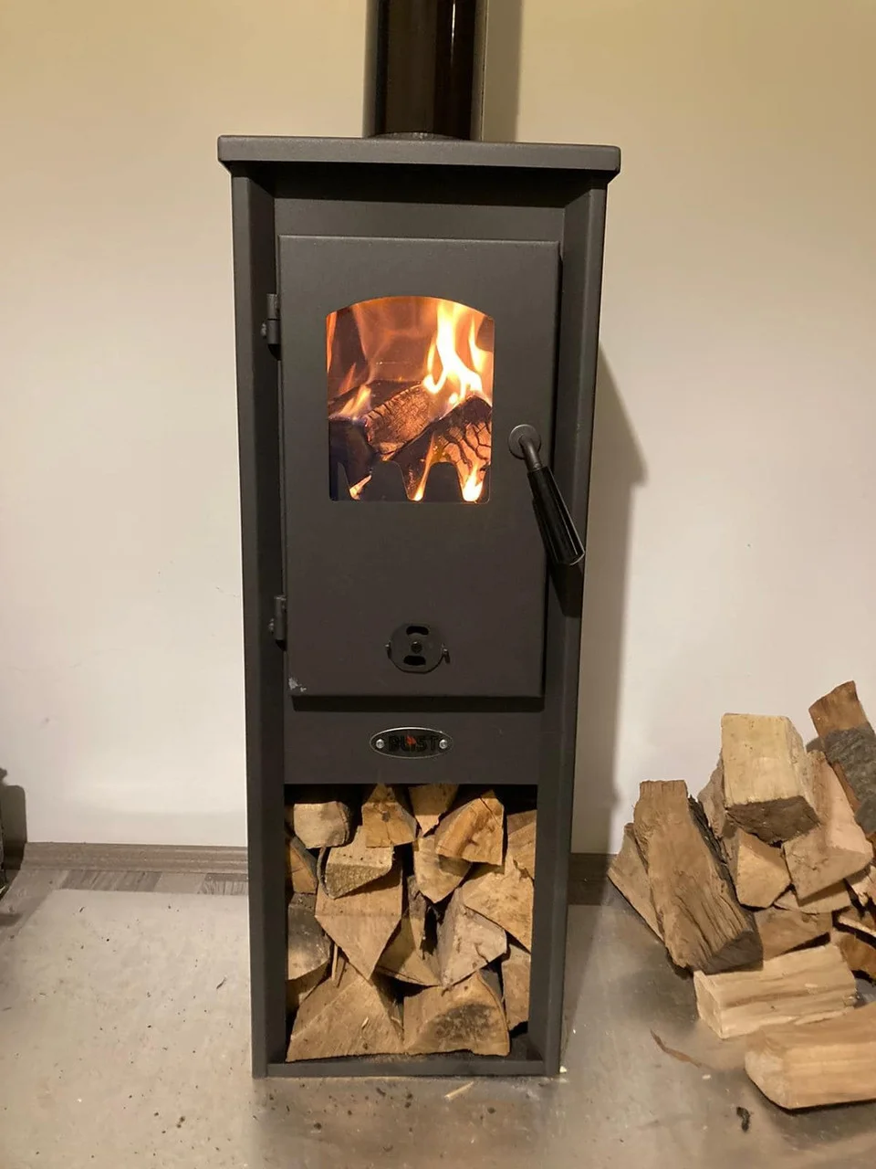 Печь-камин Blist Ekonomik Lux LM N стальная дверца Амазонка бай фото в Барановичах