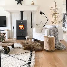 Печь-камин Blist B 2 Амазонка бай фото в Барановичах