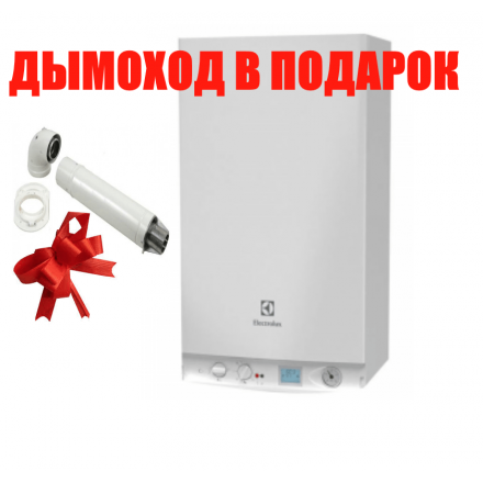 Газовый котел Electrolux GCB 30 Basic Space Duo Fi в Барановичах