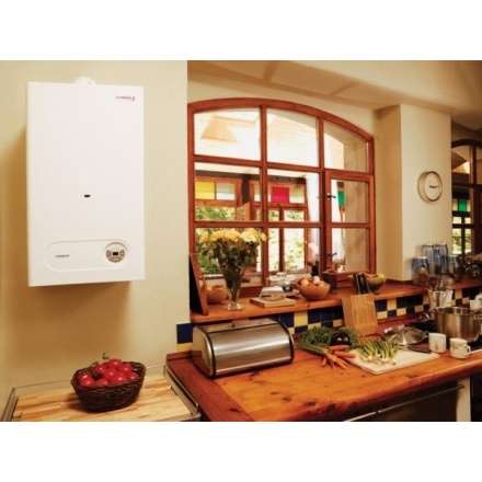 Газовый котел Protherm Тигр 24 KTZ в Барановичах