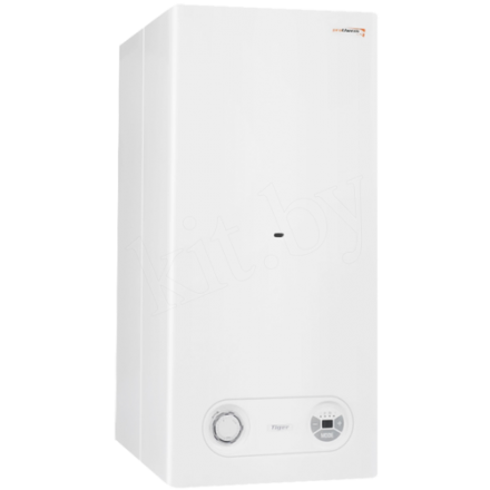 Газовый котел Protherm Тигр 24 KTZ купить в Барановичах
